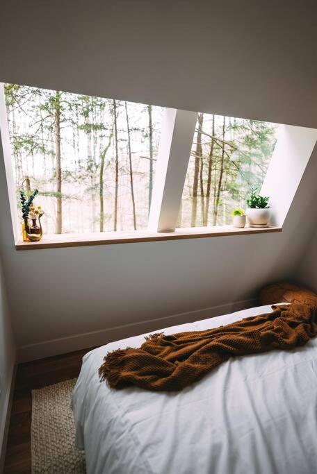 Dunlap Hollow A-Frame Rockbridge Extérieur photo