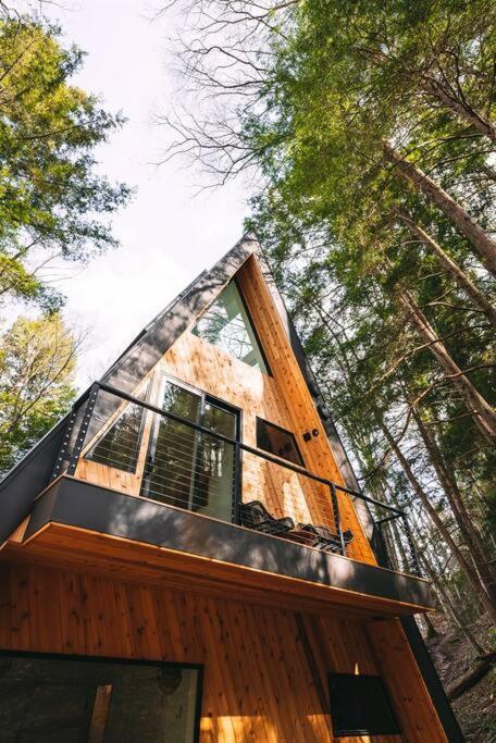 Dunlap Hollow A-Frame Rockbridge Extérieur photo